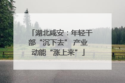 湖北咸安：年轻干部“沉下去” 产业动能“涨上来”