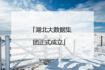 湖北大数据集团正式成立