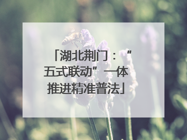 湖北荆门：“五式联动”一体推进精准普法