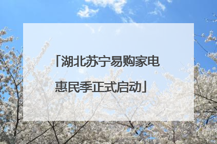 湖北苏宁易购家电惠民季正式启动