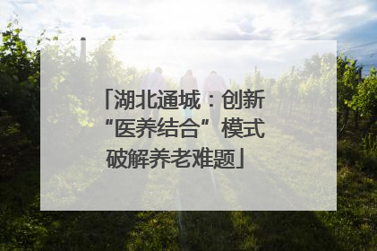 湖北通城：创新 “医养结合”模式 破解养老难题