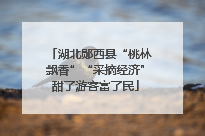 湖北郧西县“桃林飘香”“采摘经济”甜了游客富了民