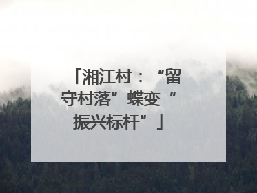 湘江村：“留守村落”蝶变“振兴标杆”
