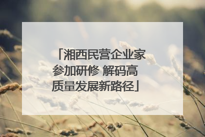 湘西民营企业家参加研修 解码高质量发展新路径
