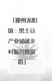 滕州龙阳镇：黑土豆产业铺就乡村振兴致富路