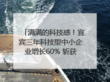 满满的科技感！宜宾三年科技型中小企业增长60% 斩获部省科技奖6项｜您牵挂的四川