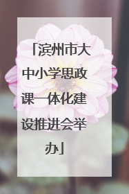 滨州市大中小学思政课一体化建设推进会举办