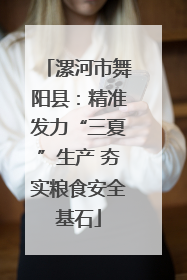漯河市舞阳县：精准发力“三夏”生产 夯实粮食安全基石