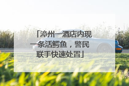 漳州一酒店内现一条活鳄鱼，警民联手快速处置