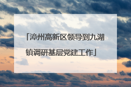 漳州高新区领导到九湖镇调研基层党建工作