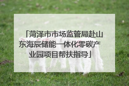 菏泽市市场监管局赴山东海辰储能一体化零碳产业园项目帮扶指导