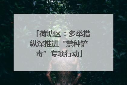 荷塘区：多举措纵深推进“禁种铲毒”专项行动