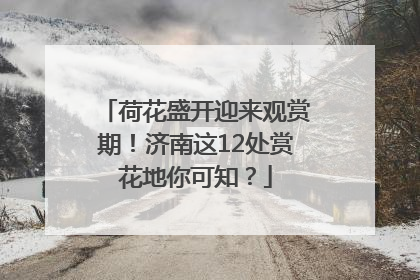 荷花盛开迎来观赏期！济南这12处赏花地你可知？