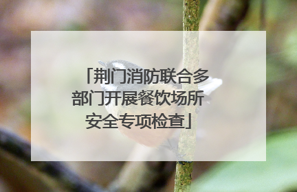 荆门消防联合多部门开展餐饮场所安全专项检查
