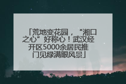 荒地变花园，“湘口之心”好称心！武汉经开区5000余居民推门见绿满眼风景