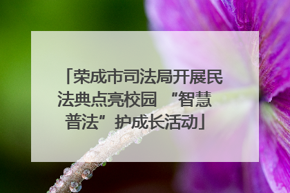 荣成市司法局开展民法典点亮校园 “智慧普法”护成长活动