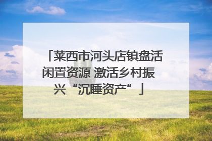 莱西市河头店镇盘活闲置资源 激活乡村振兴“沉睡资产”