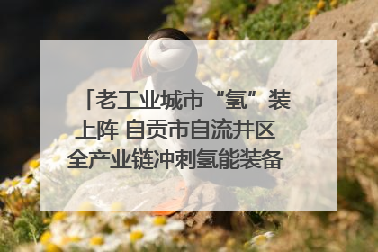 老工业城市“氢”装上阵 自贡市自流井区全产业链冲刺氢能装备制造新高地｜美好生活有“盐”味