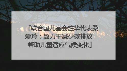 联合国儿基会驻华代表桑爱玲：致力于减少碳排放 帮助儿童适应气候变化