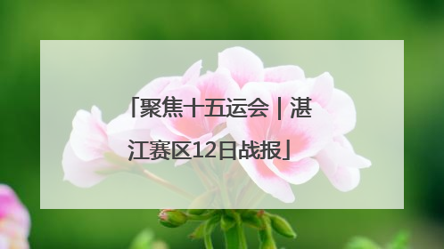 聚焦十五运会｜湛江赛区12日战报