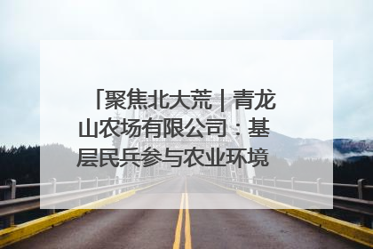 聚焦北大荒｜青龙山农场有限公司：基层民兵参与农业环境综合治理显效