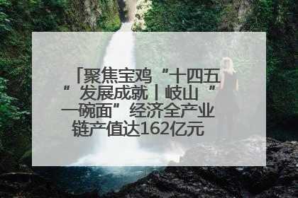 聚焦宝鸡“十四五”发展成就丨岐山“一碗面”经济全产业链产值达162亿元 入选全国典型县