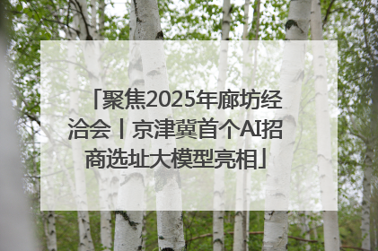 聚焦2025年廊坊经洽会丨京津冀首个AI招商选址大模型亮相