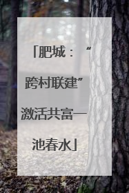 肥城：“跨村联建”激活共富一池春水