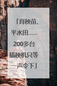 育秧苗、平水田……200多台插秧机只等一声令下