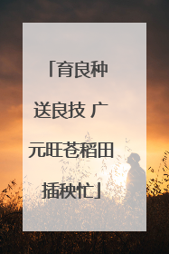 育良种 送良技 广元旺苍稻田插秧忙