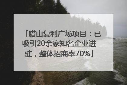 腊山复利广场项目：已吸引20余家知名企业进驻，整体招商率70%