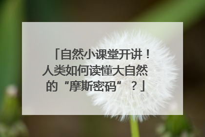 自然小课堂开讲！人类如何读懂大自然的“摩斯密码”？