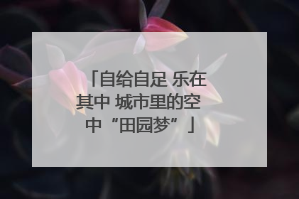 自给自足 乐在其中 城市里的空中“田园梦”