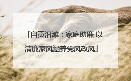 自贡沿滩：家庭助廉 以清廉家风涵养党风政风