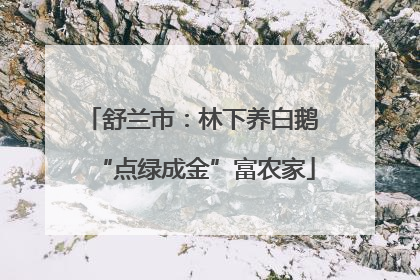 舒兰市：林下养白鹅 “点绿成金”富农家