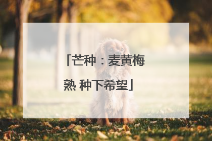 芒种：麦黄梅熟 种下希望