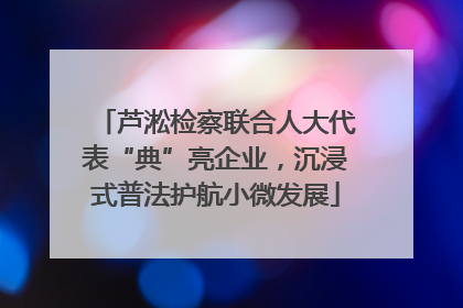 芦淞检察联合人大代表“典”亮企业，沉浸式普法护航小微发展