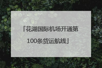 花湖国际机场开通第100条货运航线