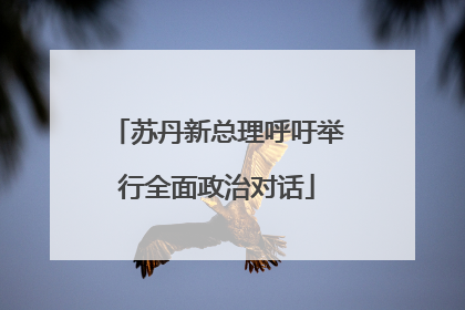 苏丹新总理呼吁举行全面政治对话
