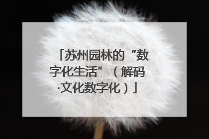 苏州园林的“数字化生活”（解码·文化数字化）