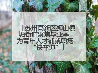 苏州高新区狮山横塘街道聚焦毕业季 为青年人才铺就职场“快车道”
