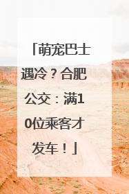 萌宠巴士遇冷？合肥公交：满10位乘客才发车！