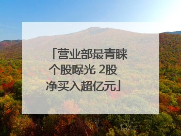 营业部最青睐个股曝光 2股净买入超亿元