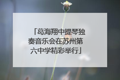 葛海翔中提琴独奏音乐会在苏州第六中学精彩举行