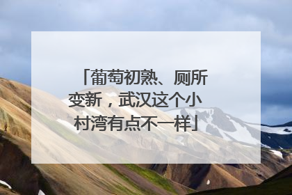 葡萄初熟、厕所变新，武汉这个小村湾有点不一样