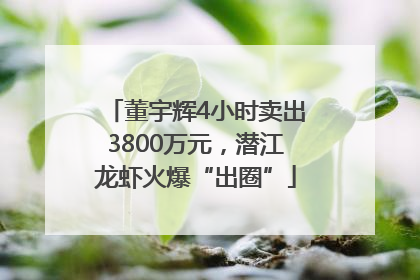 董宇辉4小时卖出3800万元，潜江龙虾火爆“出圈”