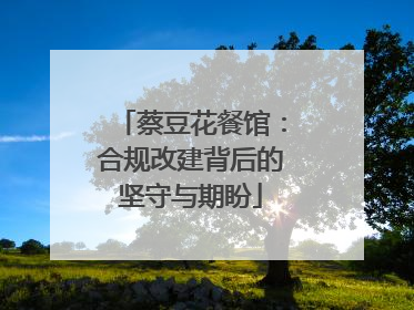 蔡豆花餐馆：合规改建背后的坚守与期盼