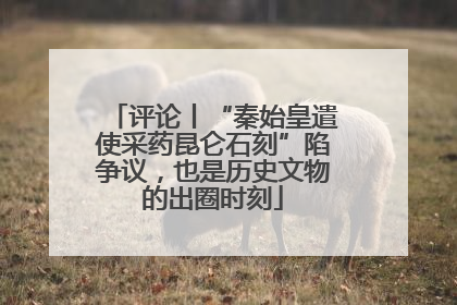 评论丨“秦始皇遣使采药昆仑石刻”陷争议，也是历史文物的出圈时刻