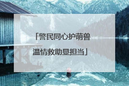 警民同心护萌兽 温情救助显担当