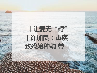 让爱无“碍”｜许加良：重疾致残始种藕 带动致富靠双手
